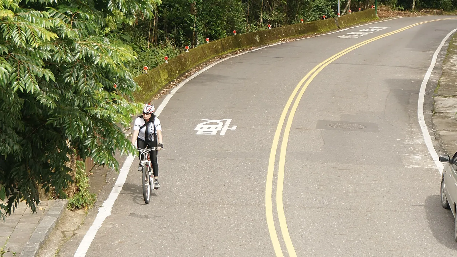一位騎士沿日月潭環潭公路靠右騎行，路面畫有自行車標記與雙黃線