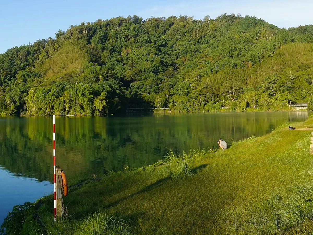 日月潭湖面與對岸山林，前景是自行車道旁的草坡與救生圈桿